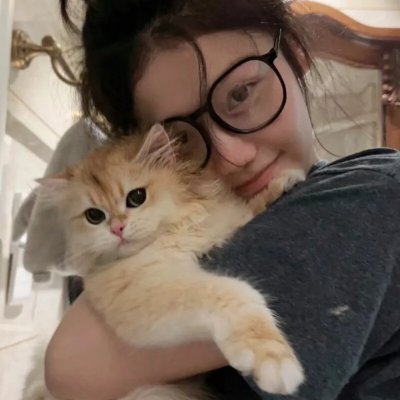 猫和老鼠在纽约